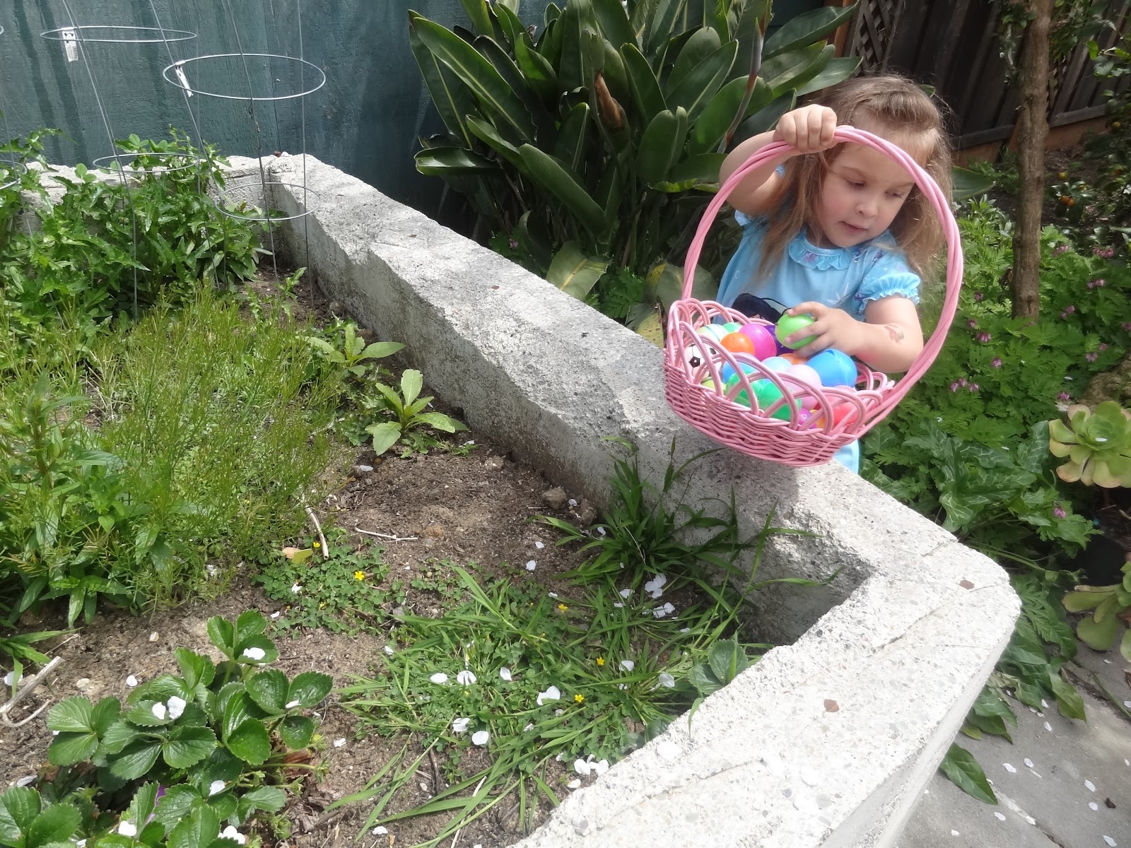 Holly Daze: Backyard Easter Egg Hunt