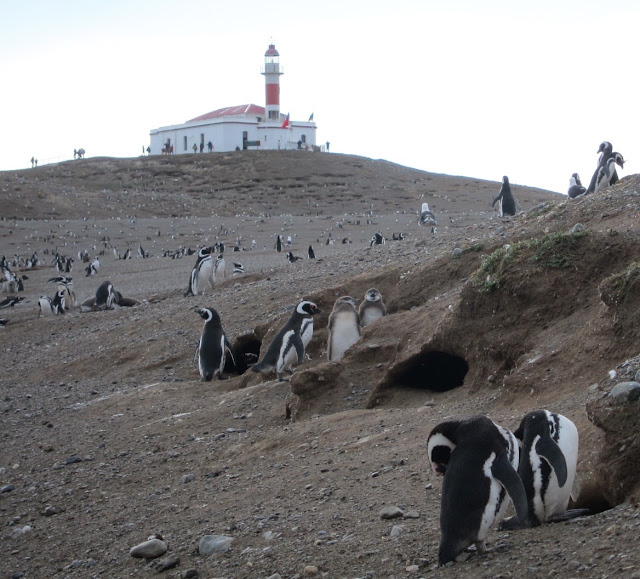 rock-around-the-globe-chile-santiago-punta-arenas