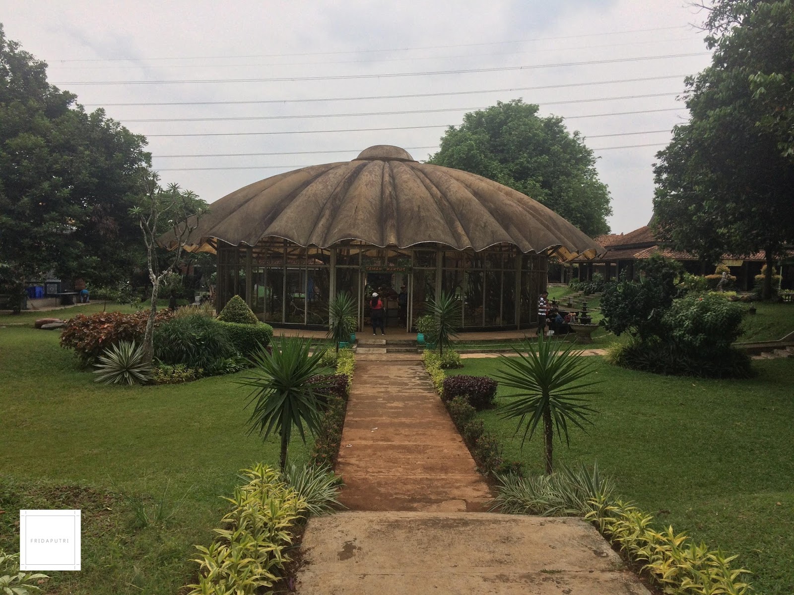 Traveling: Taman Kaktus di Taman Mini Indonesia Indah (TMII) - F R I D