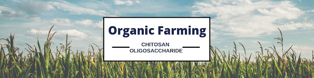 chitosan oligosaccharide supplier
