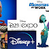 Disney Plus Packages Details