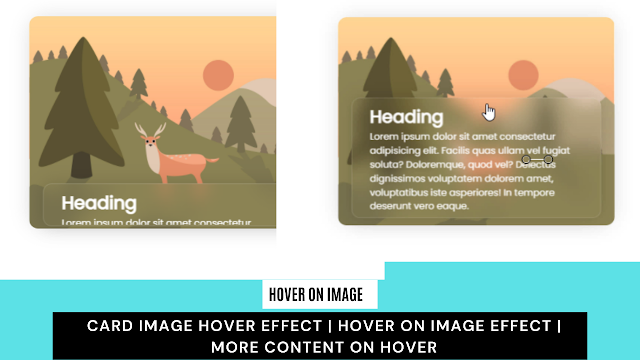Card image Hover Effect | hover on image effect | more content on hover