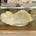 LOOK: Meet the World's Largest Natural Pearl Found in the Philippines!