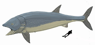 Tamaño Leedsichthys problemticus comparado con un ser humano Tamaño Leedsichthys problemticus comparado con un ser humano