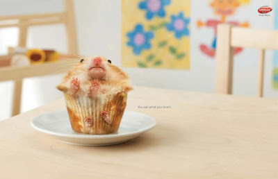 publicidad publicidad
