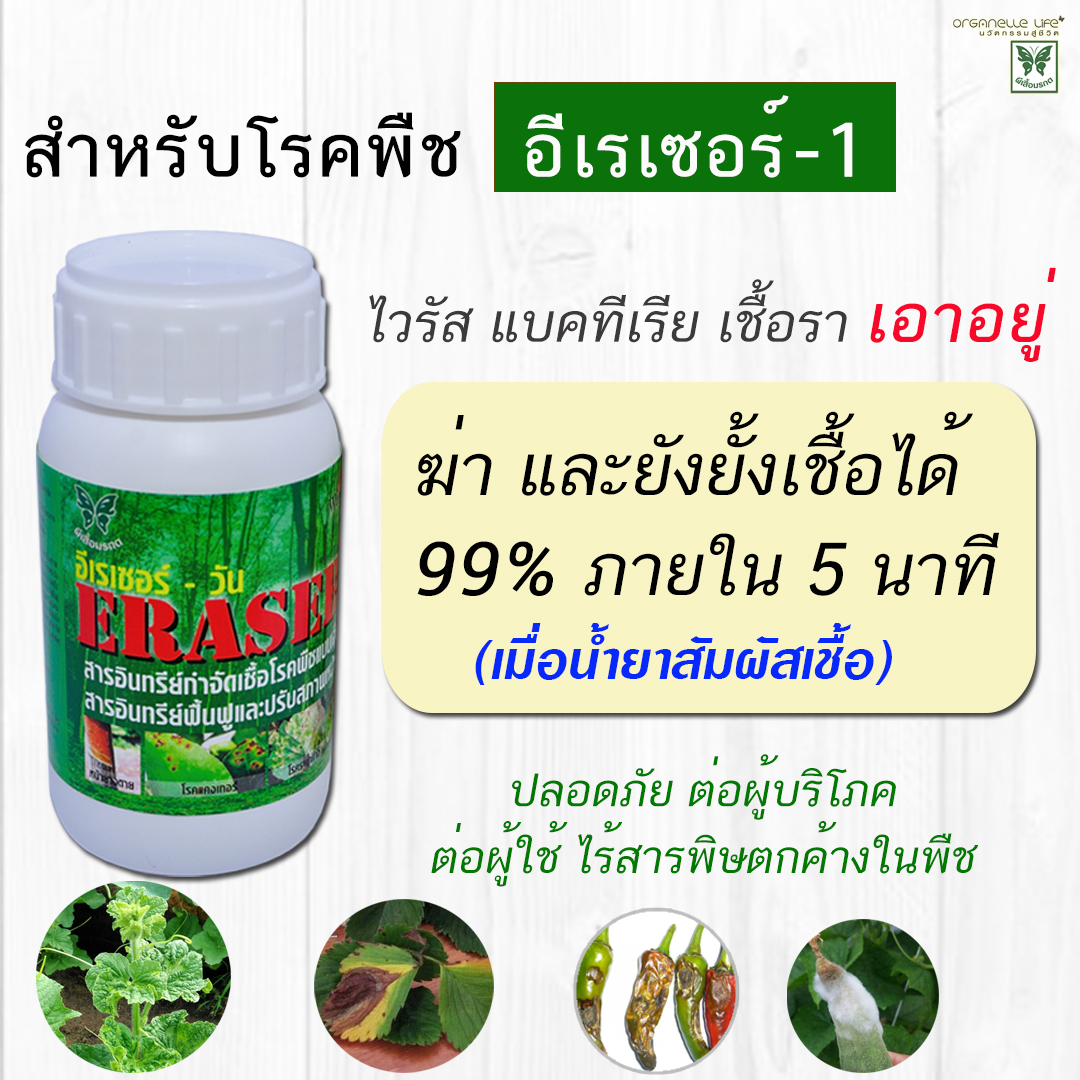 My Image 13