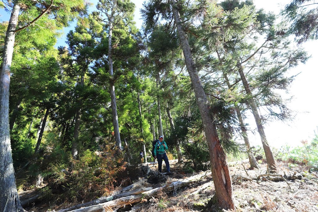 加年端山縱走路線