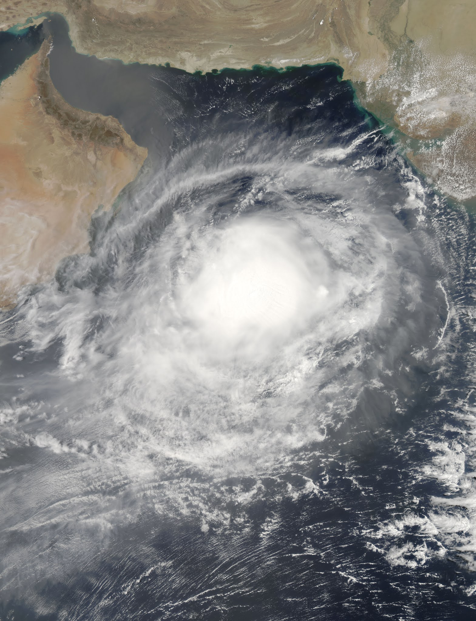 2014 North indian Ocean cyclone season