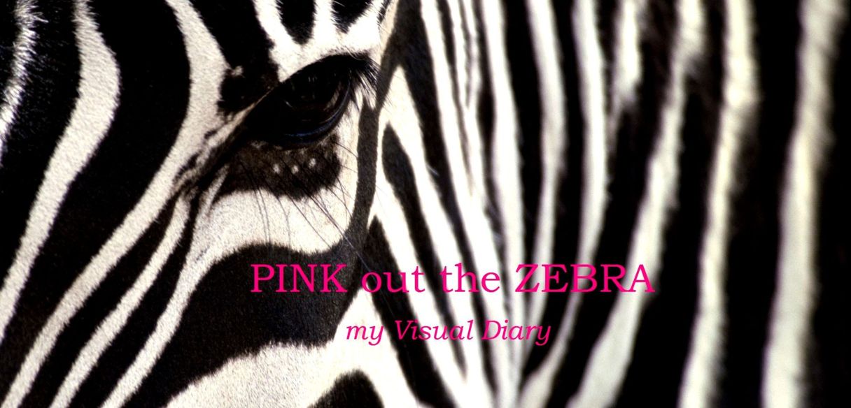 PINK out the ZEBRA