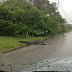 Four crocodiles escape Johannesburg Zoo after floods