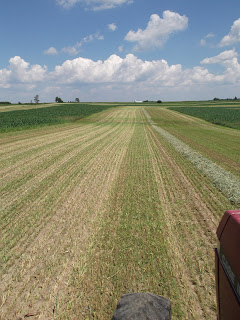 WI Farm Life: July 2011