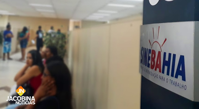 SineBahia Jacobina informa: Mais de 40 vagas de emprego para a cidade