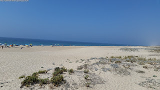 BEACH / Praia da Costa de Santo André, Santiago do Cacém, Portugal