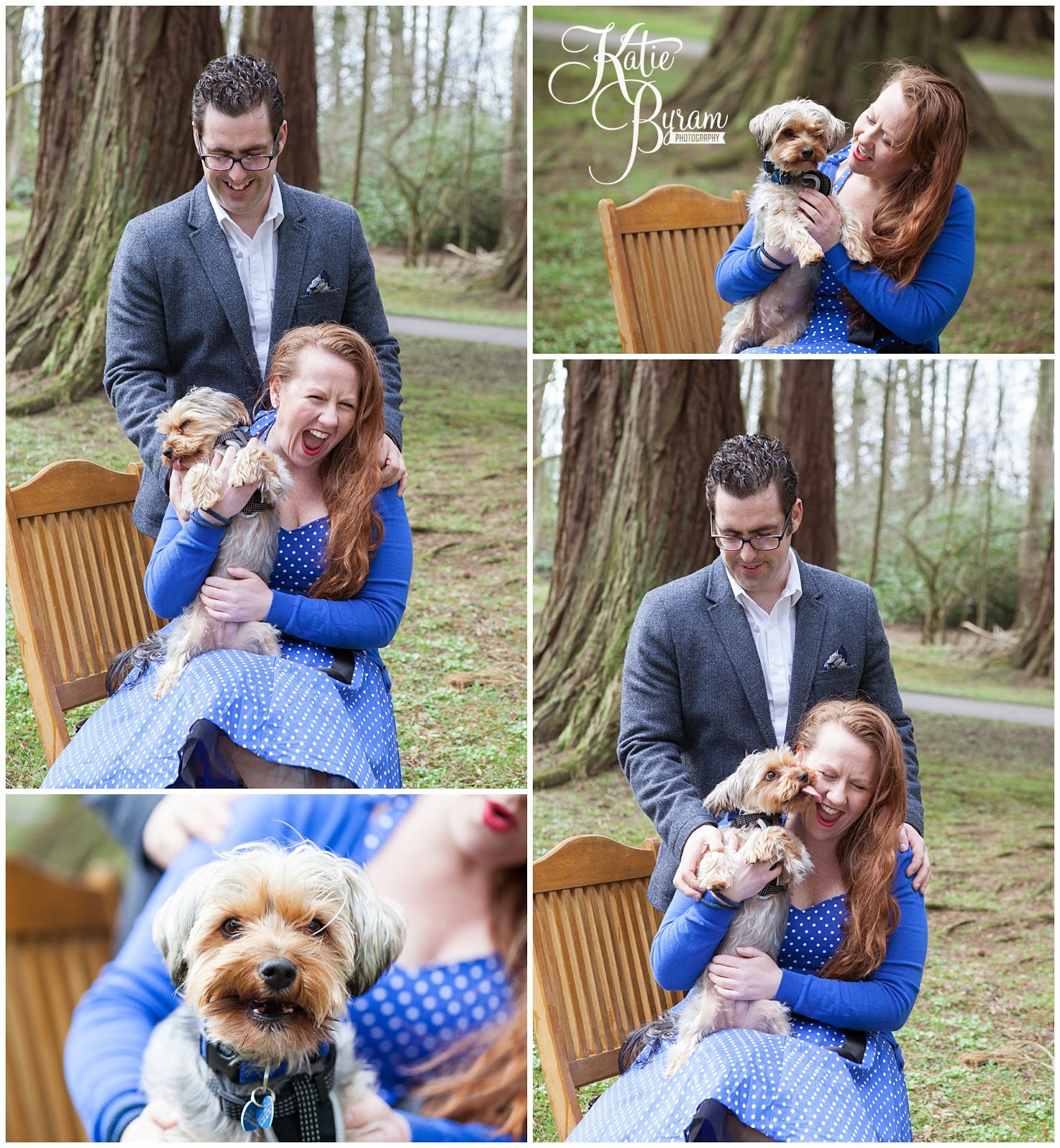 yorkshire terrier, dog at wedding, disney up engagement shoot, minsteracres wedding, lord crewe arms blanchland, northumberland wedding, quirky wedding photography, disney wedding, dogs at wedding
