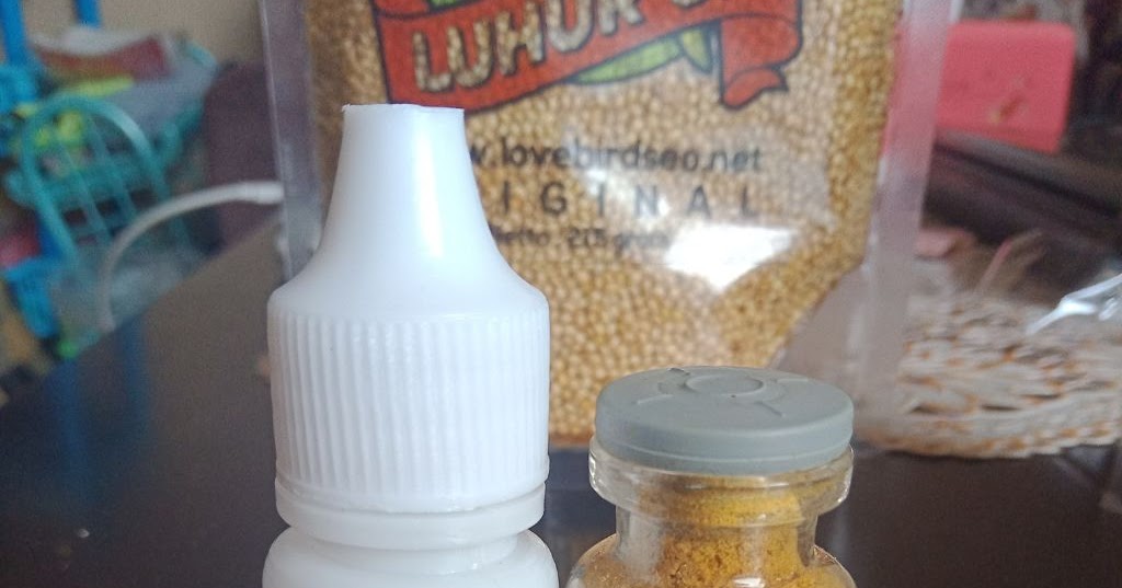 Racikan Jamu Lovbirt Konslet Untuk Betina / Racikan Jamu