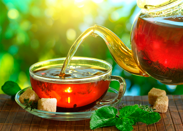 Apúntate a la moda del teatox con las infusiones DAYTOX Organic Tea