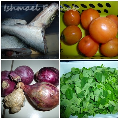 Ingredients for tinolang bangus