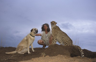 Anatolian Shepherds Save Cheetahs | Australian Dog Lover