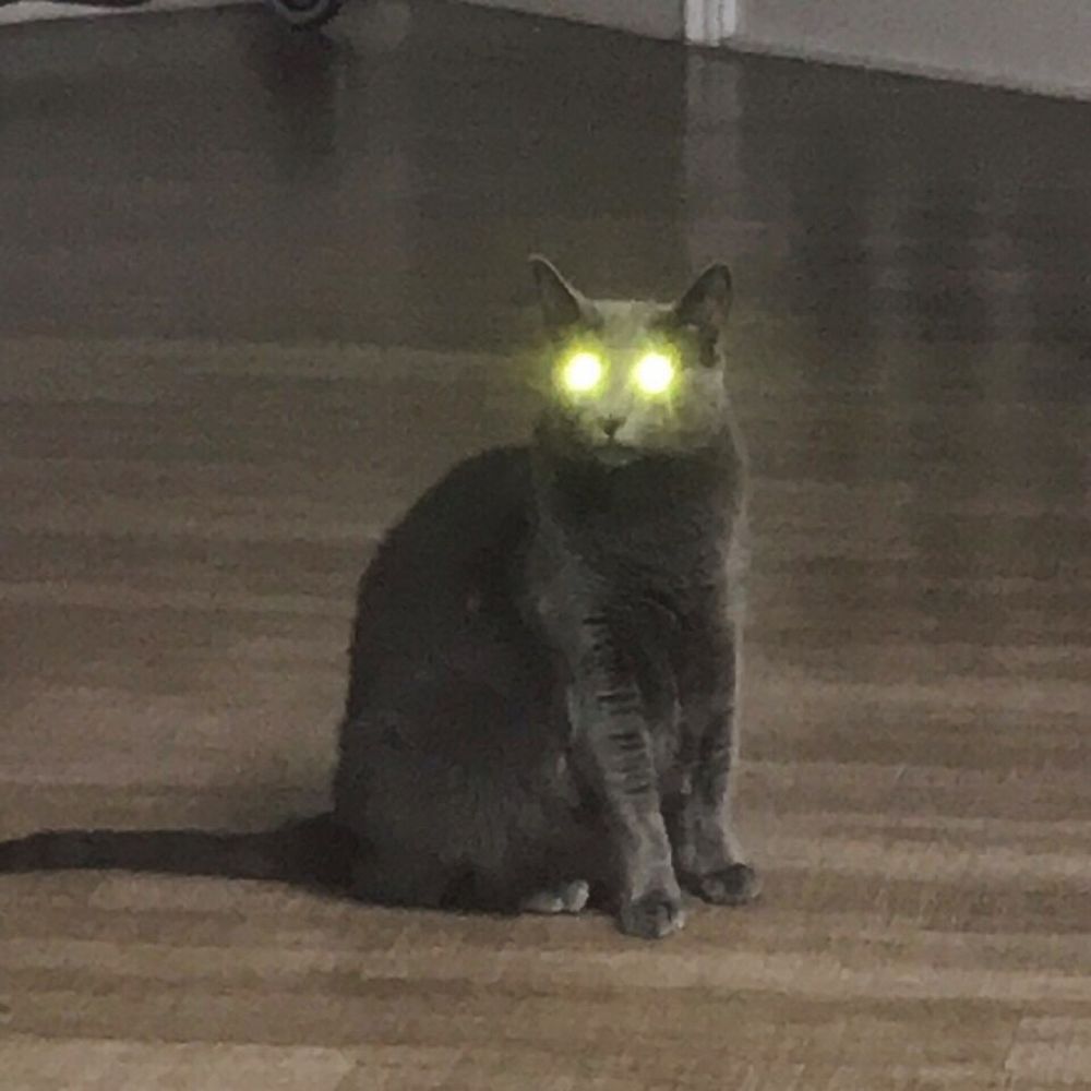 Koreans – V – Single