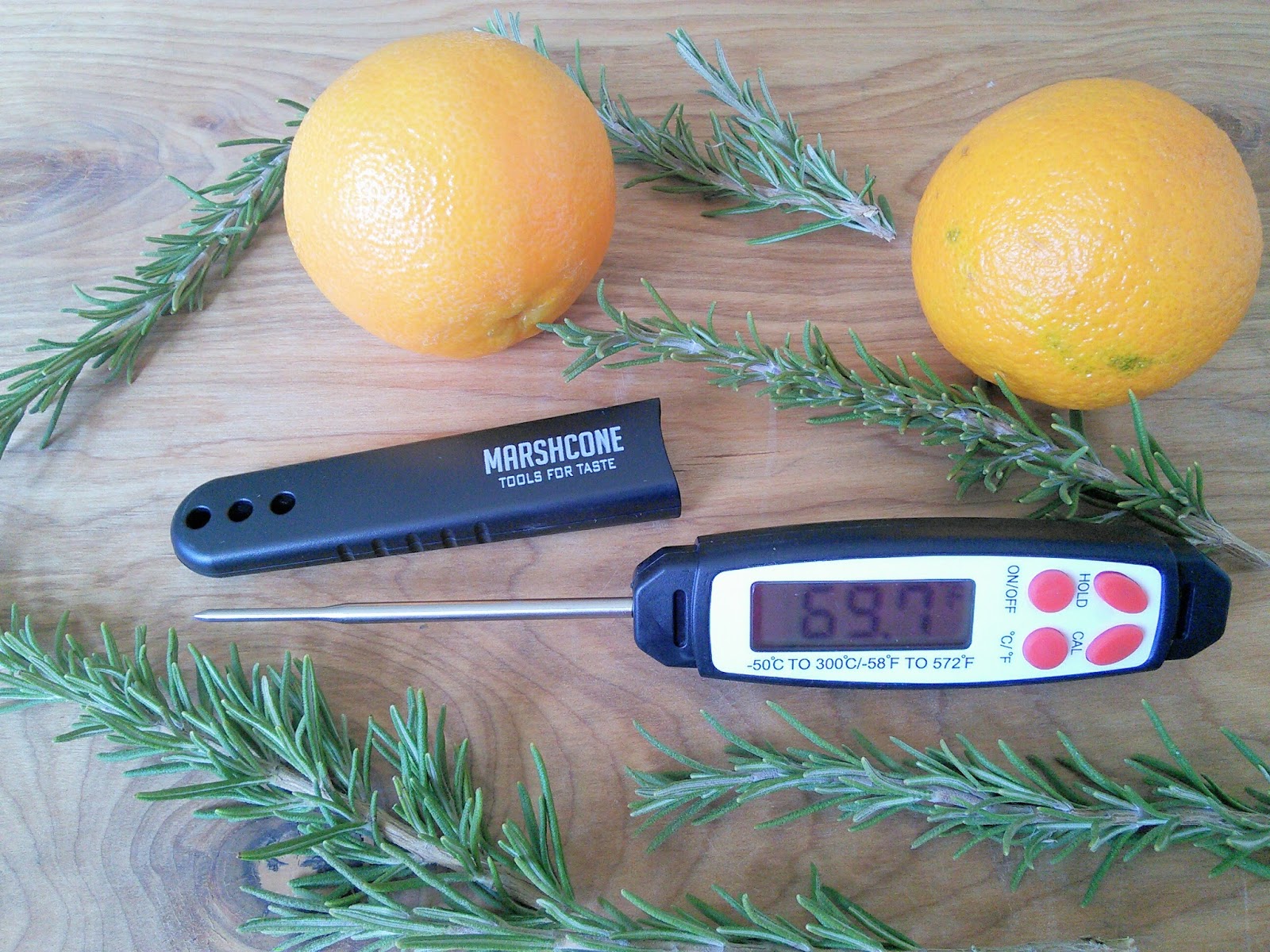 These Opinions Are My Own And I Received A Marshcone Thermometer To these-opinions-are-my-own-and-i-received-a-marshcone-thermometer-to