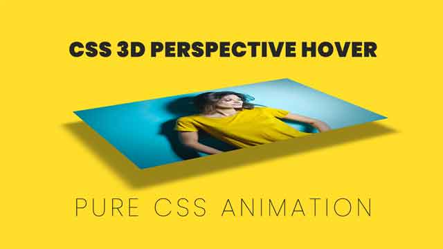 3D Perspective CSS Hover Effects
