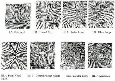 Aryan Anthropology: Criminology