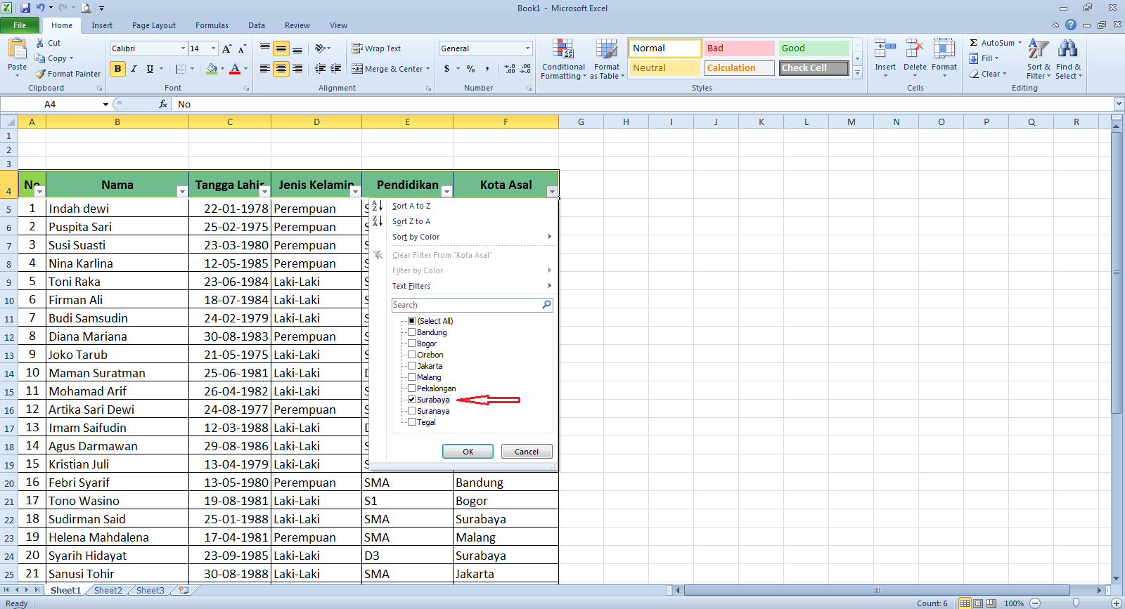 Cara Membuat Filter Data Di Excel
