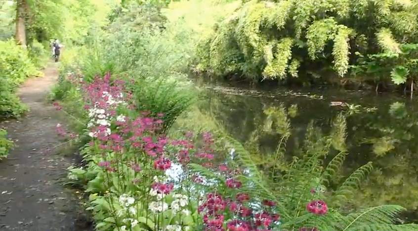 Englands schönste Gärten Enys Estate