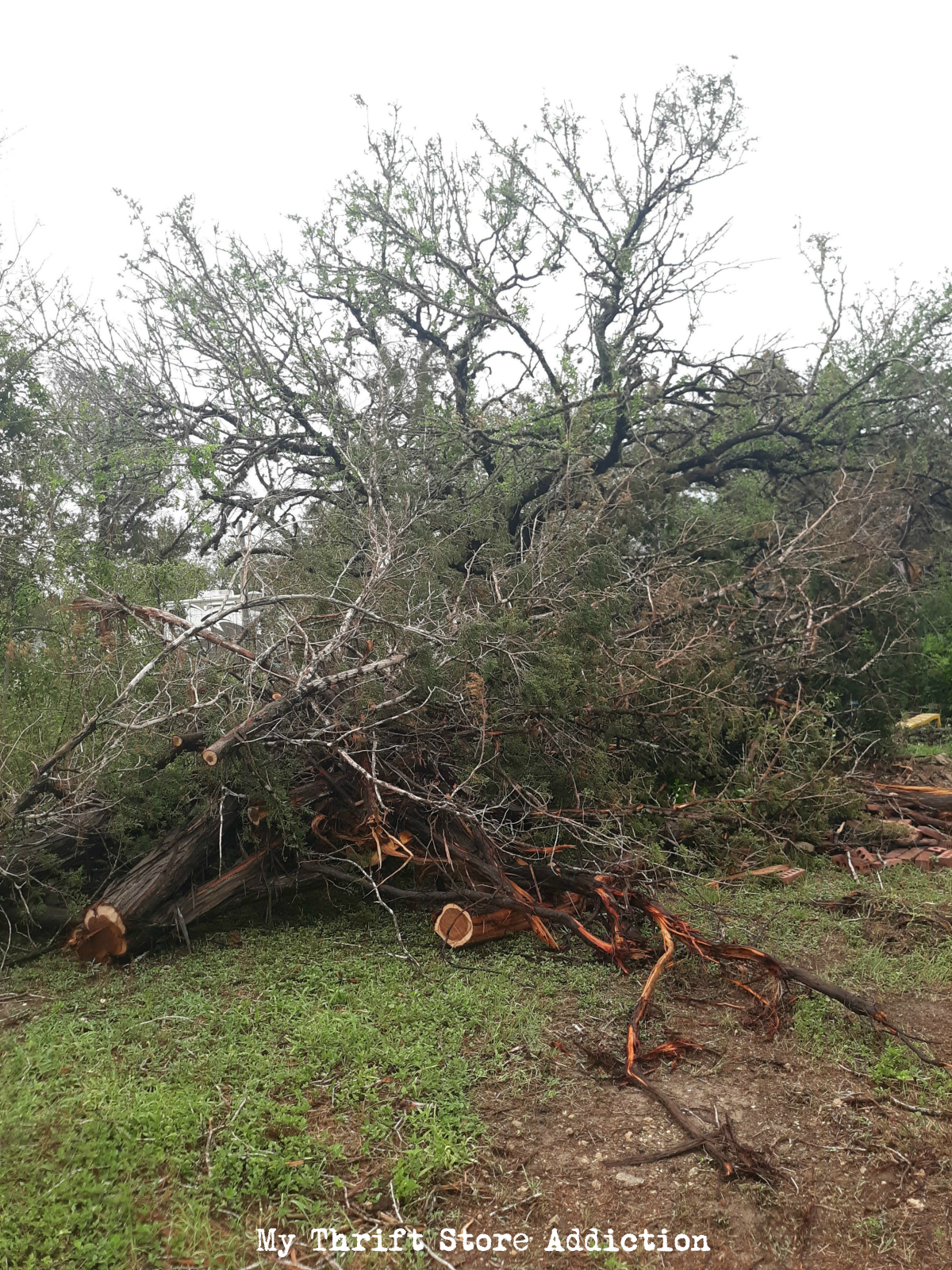 storm damage update