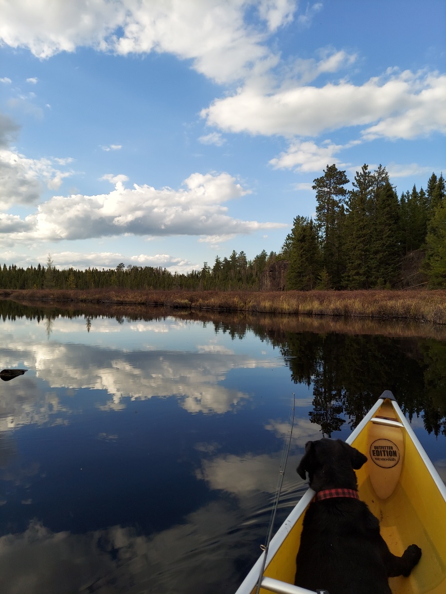 Canoeing in the Dark