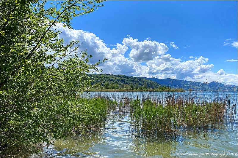 Picsearch Schmerikon