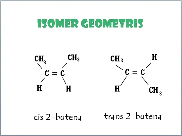 Isomer Geometris
