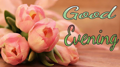 Good evening pics with flowers Good evening pics with flowers