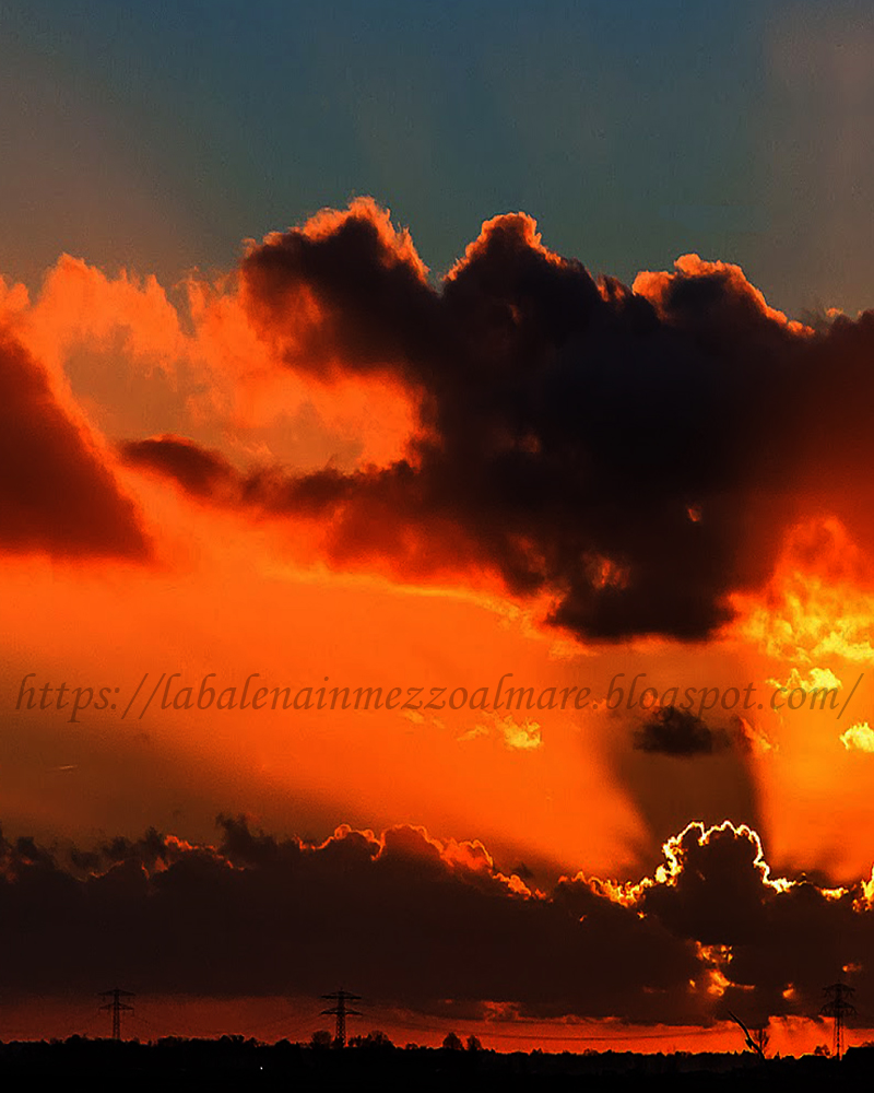 La Balena In Mezzo Al Mare Abbiamo Perso Ancora Questo Tramonto