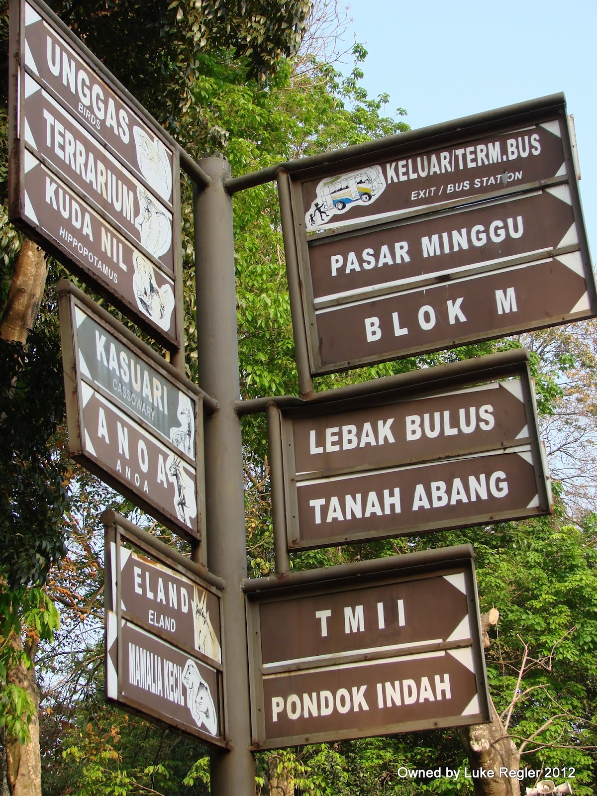 Jakarta News : Jakarta Zoo