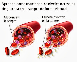Como Normalizar la Glucosa en la Sangra Natural