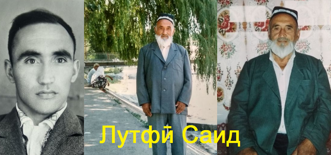 Лутфи Саид