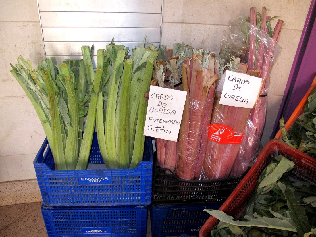 flora-medicinal-alimenticia-y-artesanal-de-la-ribera-navarra-2014