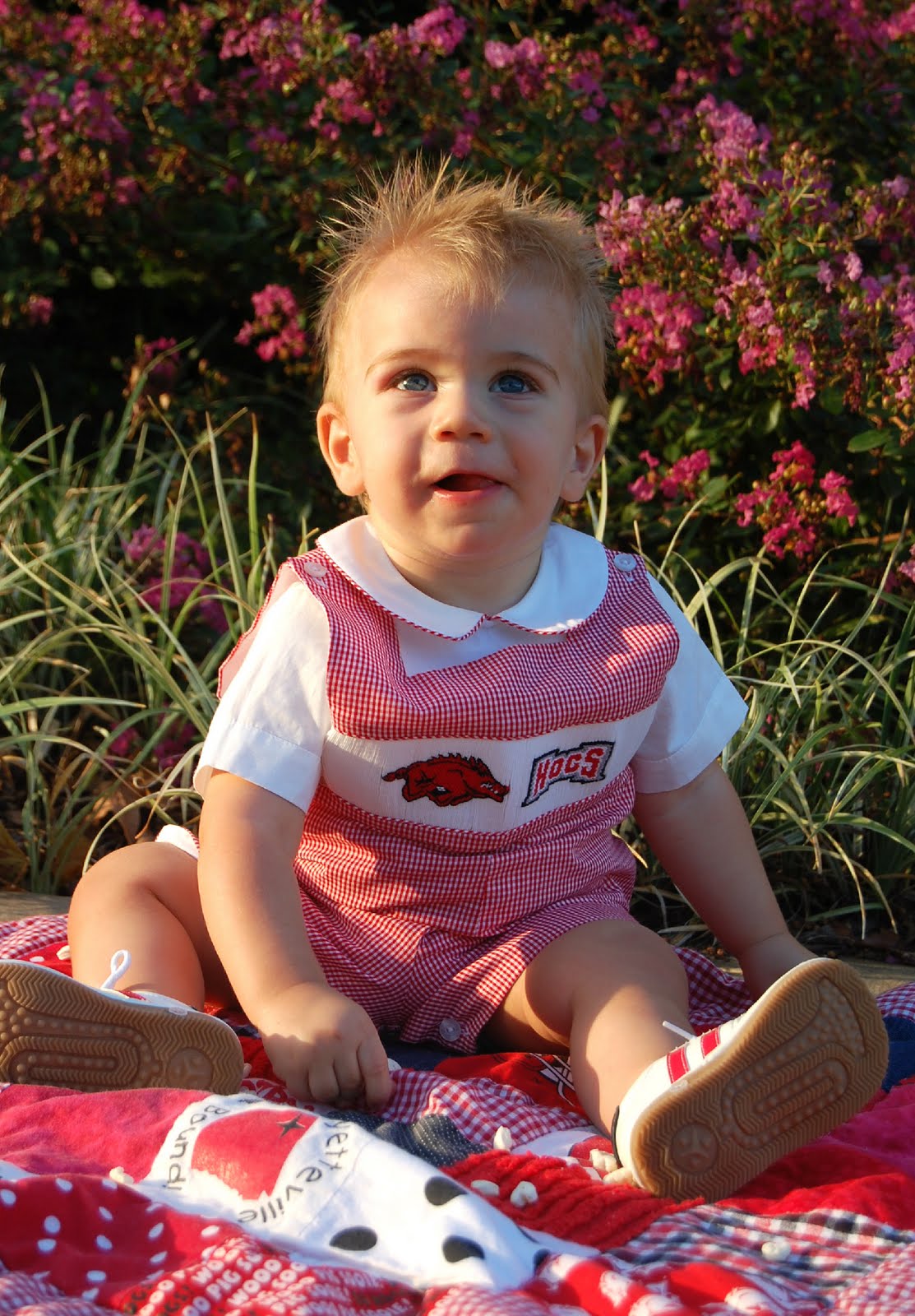 the freyed knot: Our Lil' Razorback