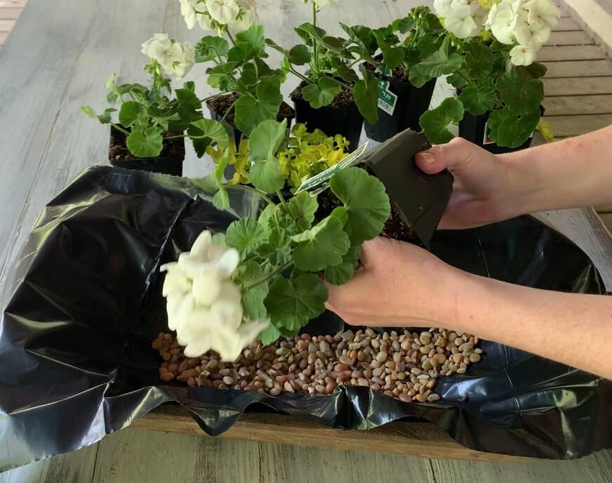 How to Make a Wood Dough Bowl Planter Centerpiece The Roots of Home