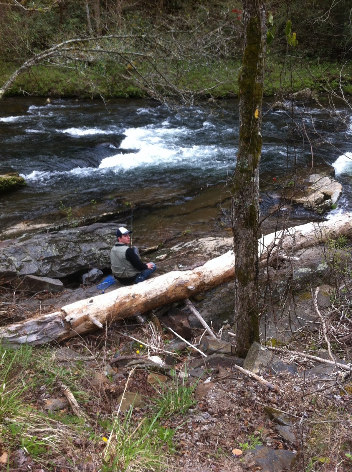 Tellico River Trout Fishing A Tourist Perspective