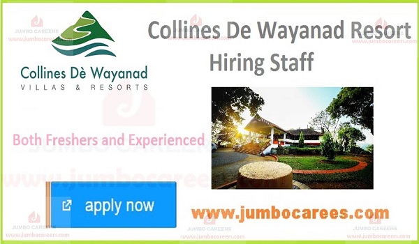 Recent Jobs in  Wayanad, 