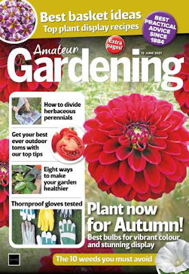 Download free Amateur Gardening – 12 June 2021 magazine in pdf