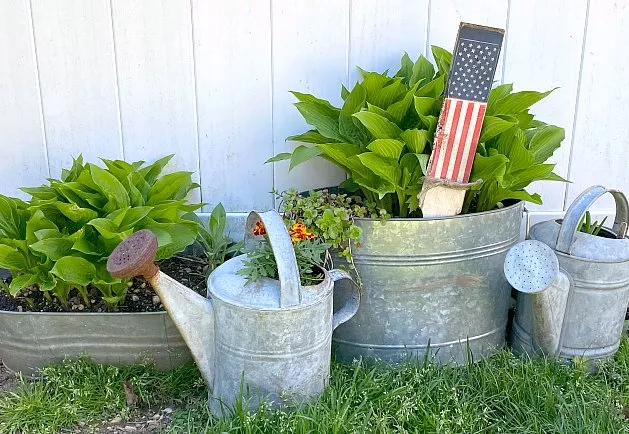Galvanized tubs with plants and American flag stake