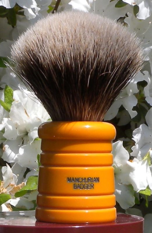 Fido's Shaving Brush Blog Simpsons Rover Manchurian