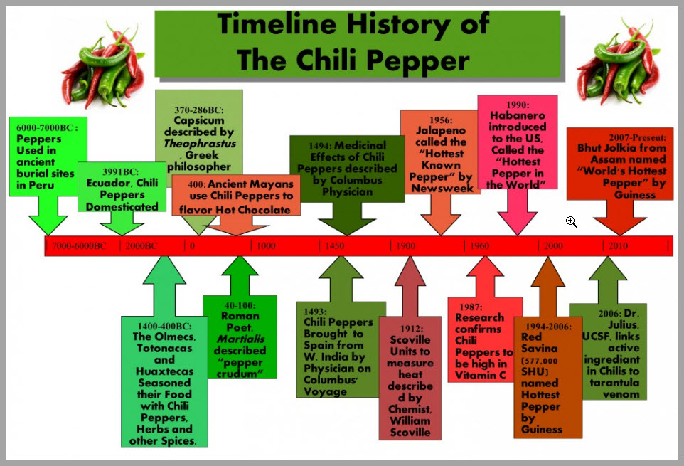 S T R A V A G A N Z A HISTORY OF CHILI