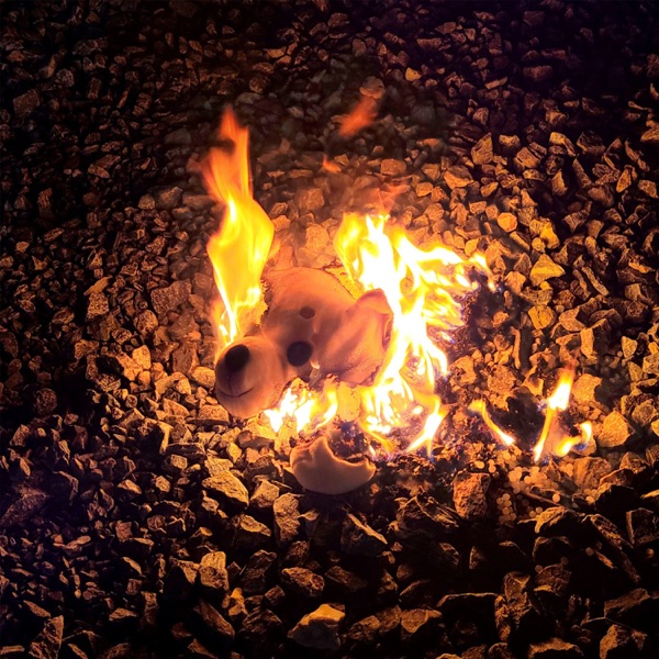 CARD KUDI – 감정 쓰레기통 – EP