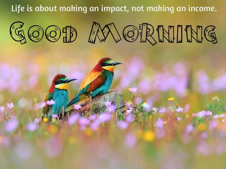 2020 Good Morning Status In English Best Event Stuff Find here the best good morning sms, wishes, greetings, quotes, and status. 2020 good morning status in english