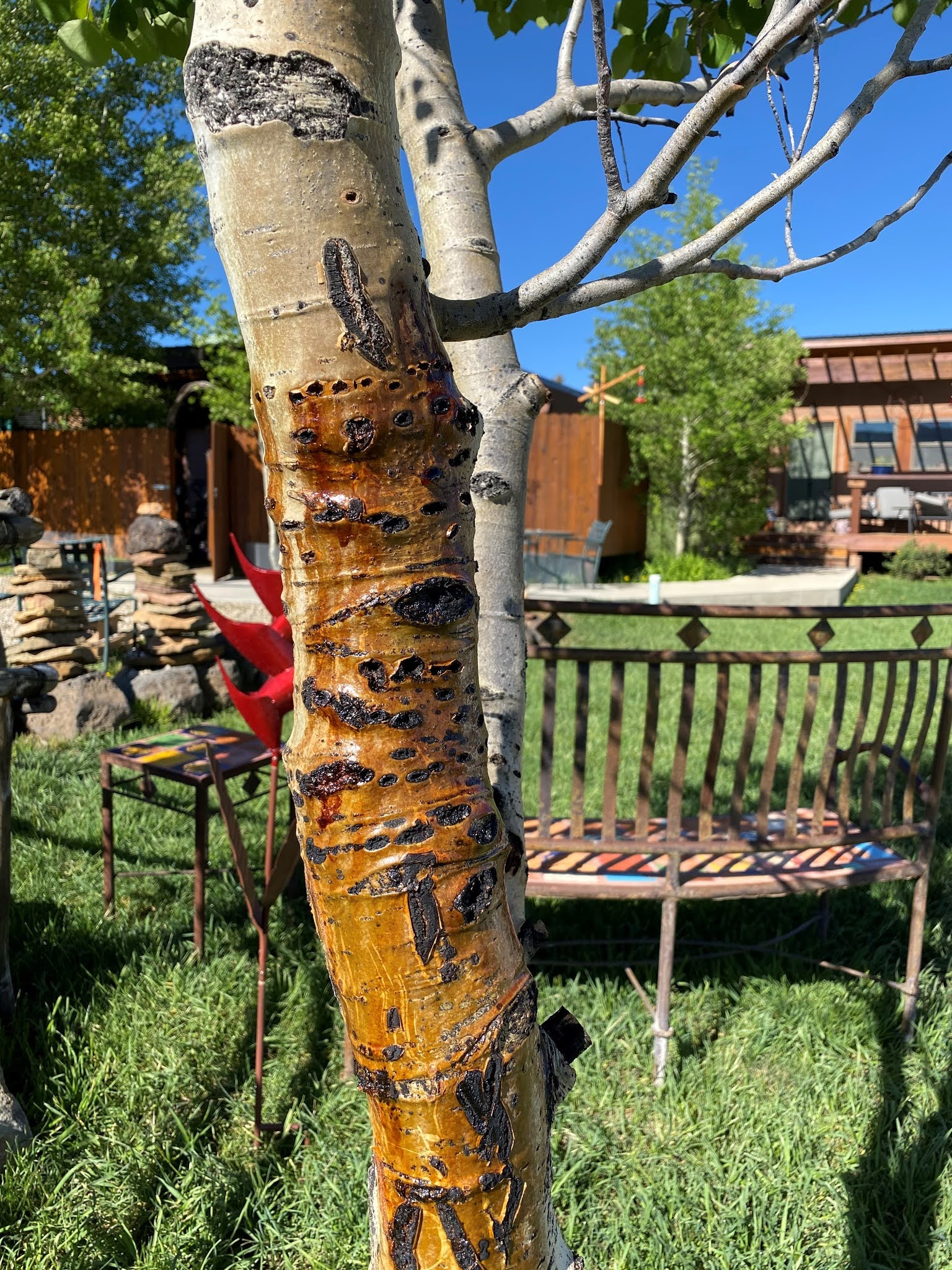 The Amberajami Onlyfans Leak Everyone'S Talking About! - cgz03k2