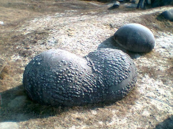 Βράχια μεγαλώνουν με τη βροχή και… περπατάνε!